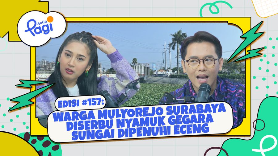 Warga Mulyorejo Surabaya Diserbu Nyamuk gegara Sungai Dipenuhi Eceng Gondok