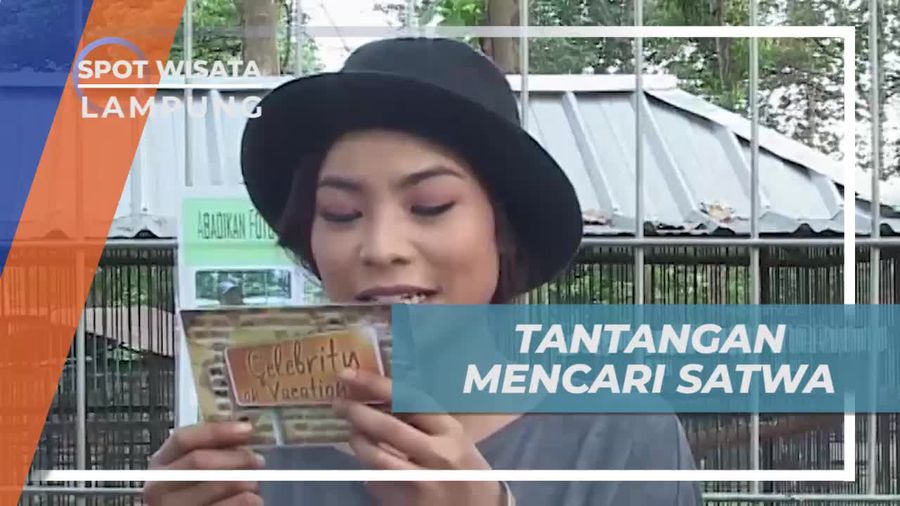 Tantangan Seru Mencari Satwa di Taman Lampung