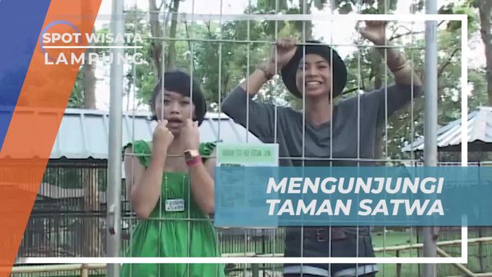 Melihat Aneka Hewan Unik di Taman Satwa Lampung