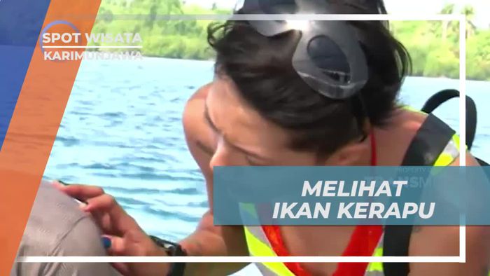 Melihat Dari Dekat Ikan Kerapu Jenis Tikus di Karimunjawa