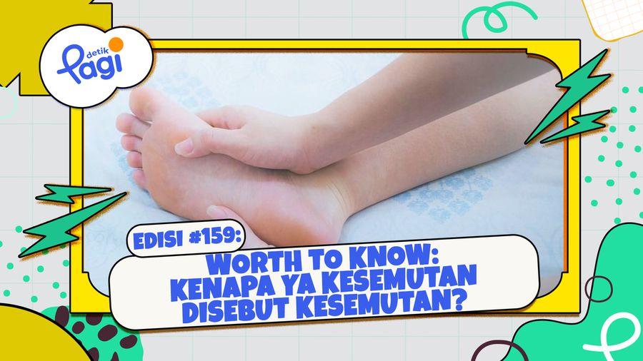 Worth To Know: Kenapa ya Kesemutan Disebut Kesemutan?