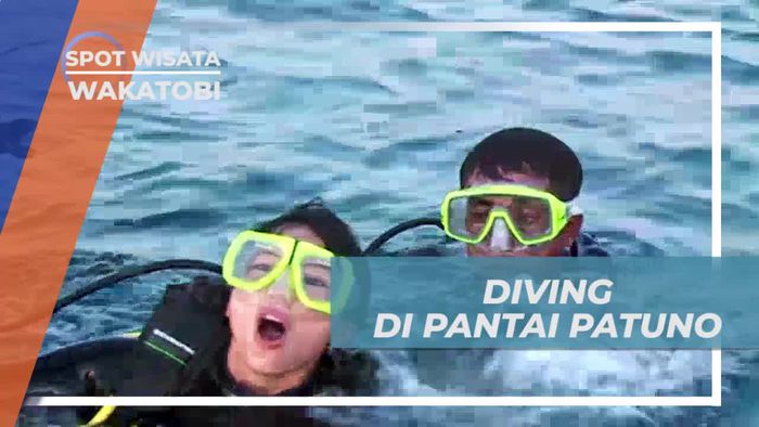 Melihat Keindahan Bawah Laut Wakatobi Dengan Diving di Pantai Patuno
