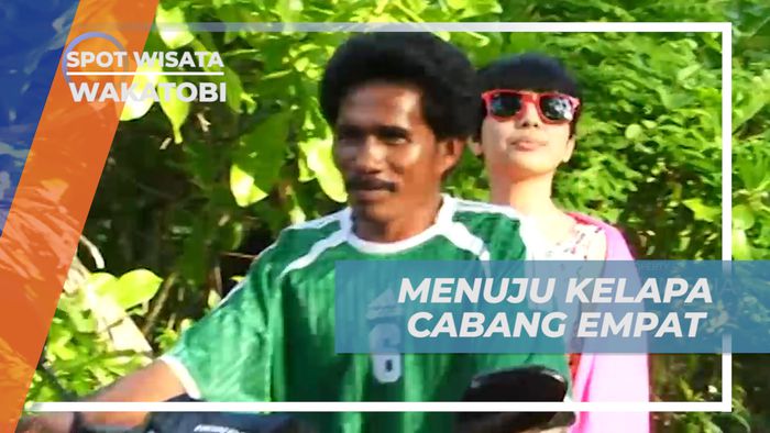 Kelapa Cabang Empat, Tawar-menawar Ojek Menuju Tempat Terkenal di Pulau Kapota, Wakatobi