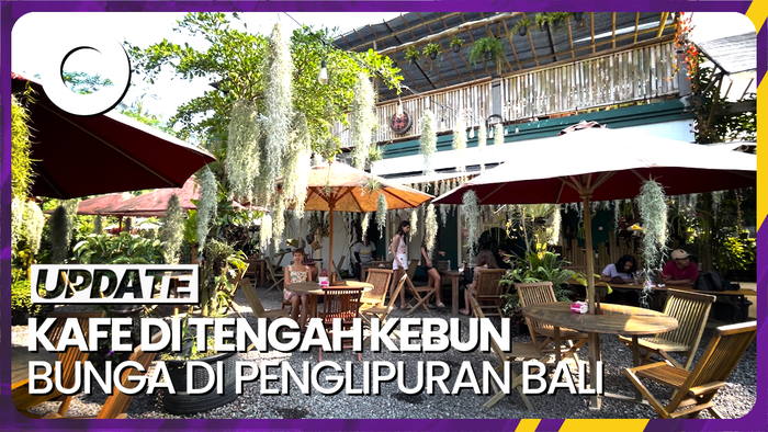 Sensasi Ngopi Asyik di Tengah Kebun Cantik di Penglipuran Bali