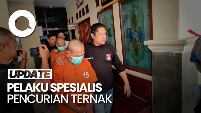 Maling Domba Berbaju Loreng-Bawa Pistol di Ciamis Ditangkap