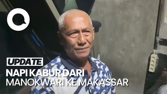 Napi Manokwari Kabur ke Makassar, Ngaku Lari saat Diminta Belikan Pasir