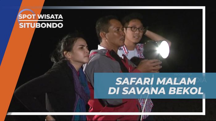 Menikmati Sensasi Savari Malam Hari di Savana Bekol, Banyuwangi