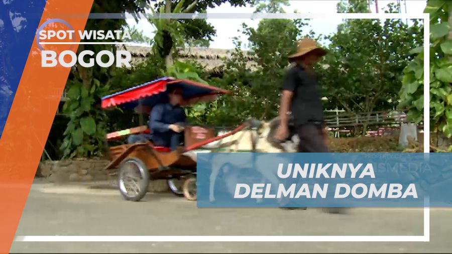 Sensasi Naik Delman Mini yang di Tarik Domba, Bogor
