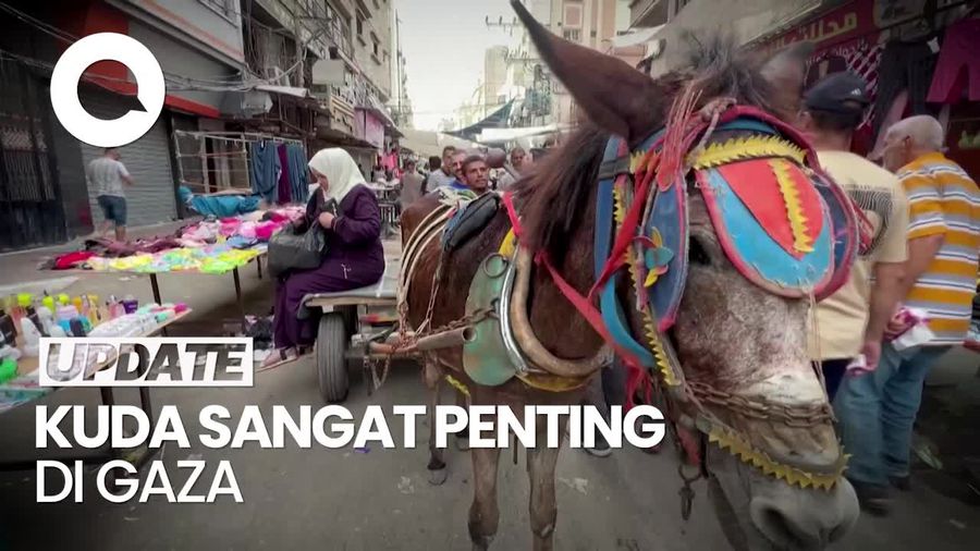 Ketika Kuda Menjadi yang Paling Berharga di Gaza