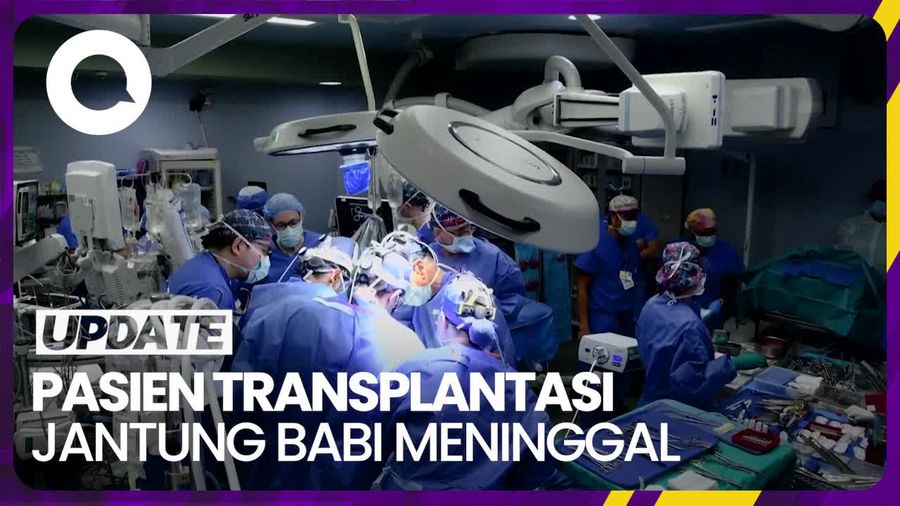 Pasien Transplantasi Jantung Babi Kedua di Dunia Meninggal