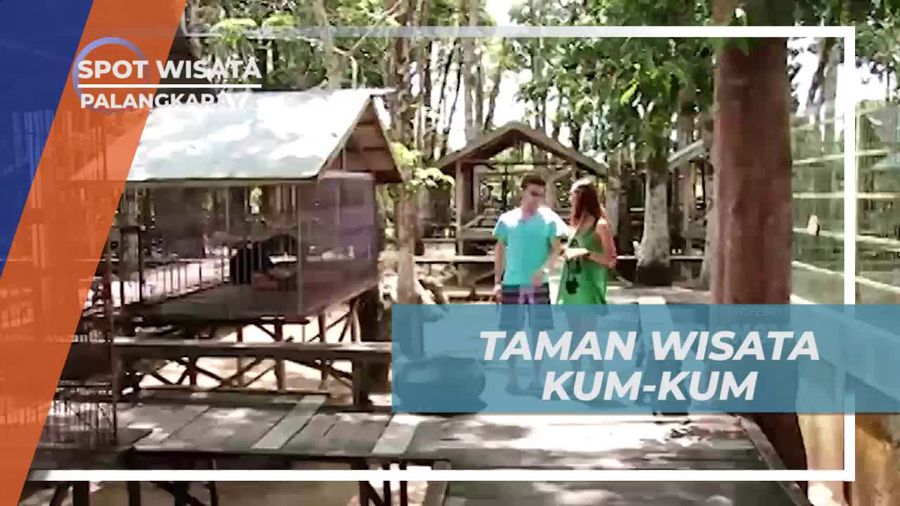Melihat Tingkah Lucu Aneka Satwa di Taman Wisata Kum-kum Palangkaraya