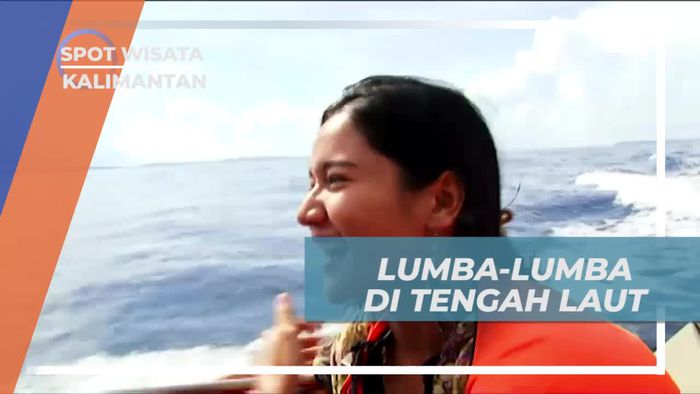 Bertemu Dengan Lumba-lumba di Laut Pulau Maratua Kalimantan Timur
