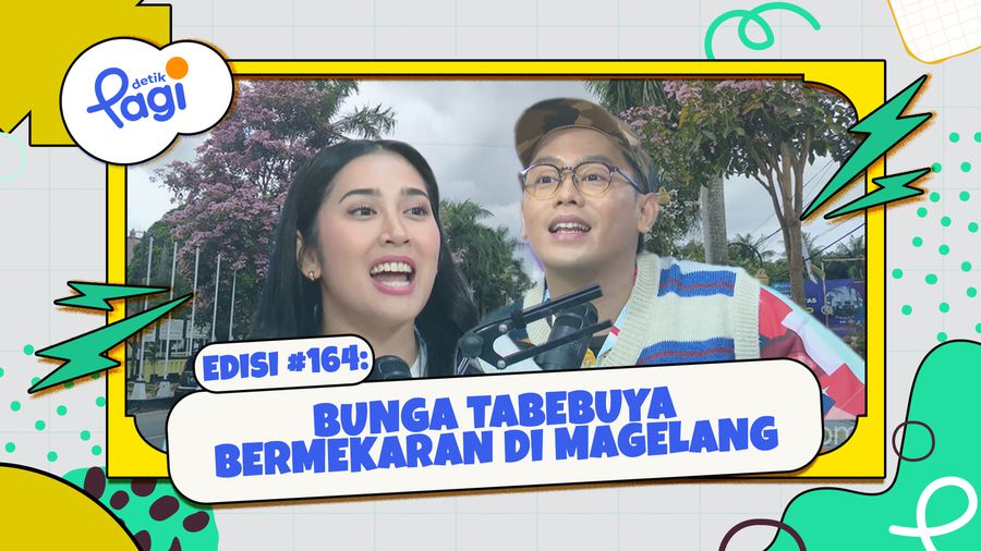 Bunga Tabebuya Bermekaran di Magelang