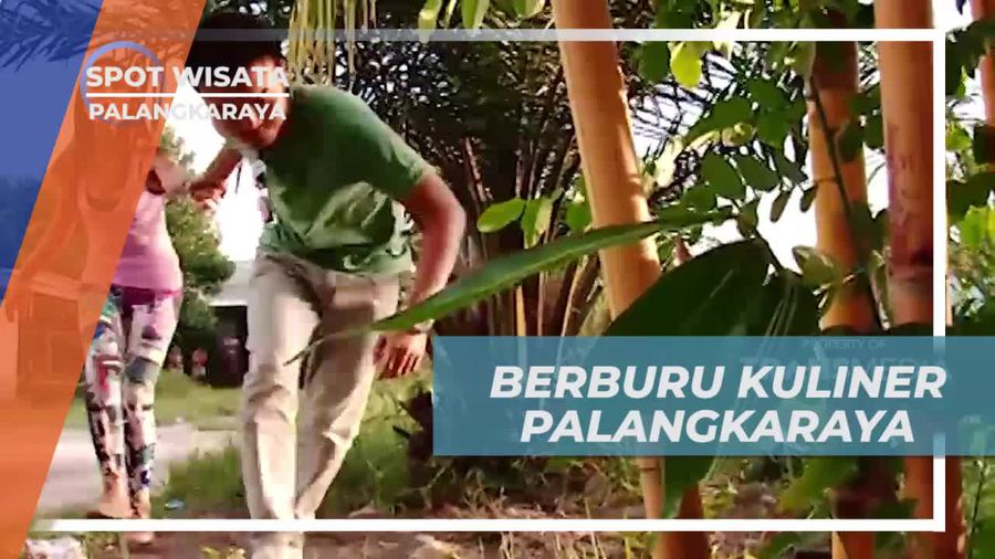 Berburu Kuliner Berbahan Dasar Rotan di Palangkaraya