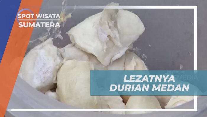 Mencicipi Kelezatan Daging Tebal dan Nikmat Durian Ucok Medan