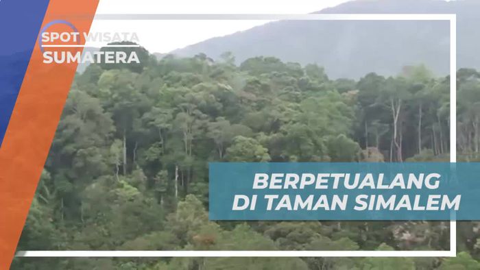 Berpetualang Seru di Taman Simalem, Karo