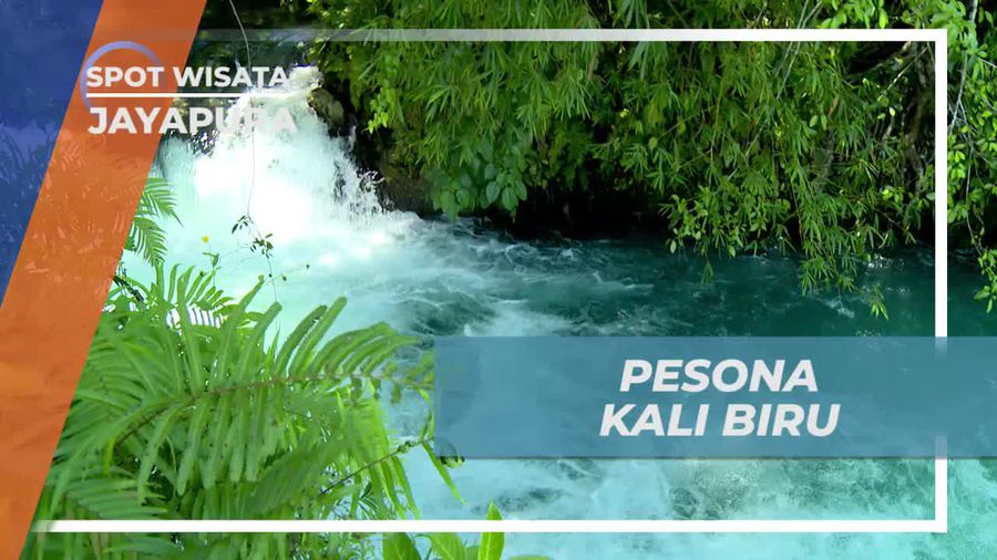 Sensasi Seru Melompat Dari Sebatang Kayu, Kali Biru Jayapura