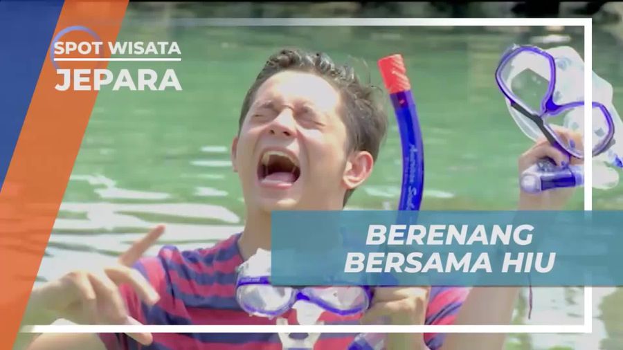 Sensasi Menegangkan Berada di Kolam Penuh Hiu, Jepara