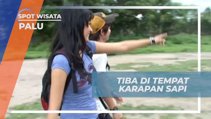 Liburan Seru, Mengunjungi Tempat Karapan Sapi di Kota Palu