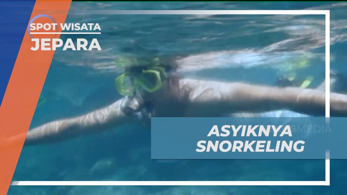 Mengintip Indahnya Terumbu Karang dan Ikan-ikan Lucu di Karimunjawa, Jepara