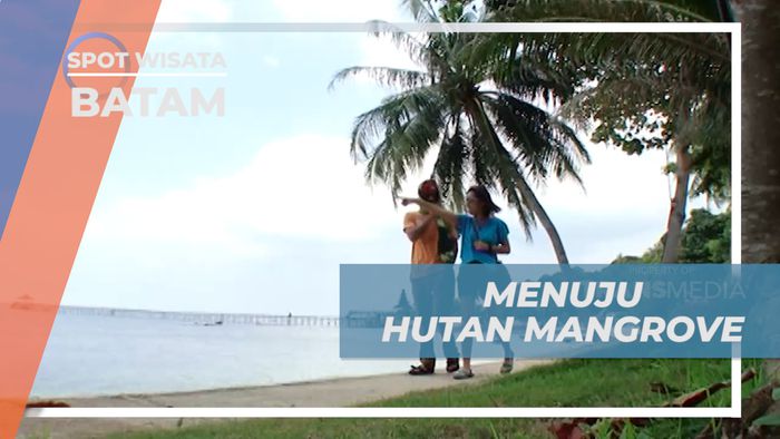 Menyusuri Sungai Naik Perahu Boat Menuju Hutan Mangrove, Batam