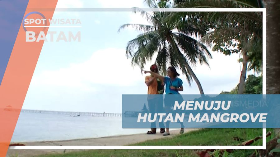 Menyusuri Sungai Naik Perahu Boat Menuju Hutan Mangrove, Batam