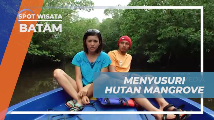 Menyusuri Keindahan Hutan Mangrove Naik Speedboat, Batam