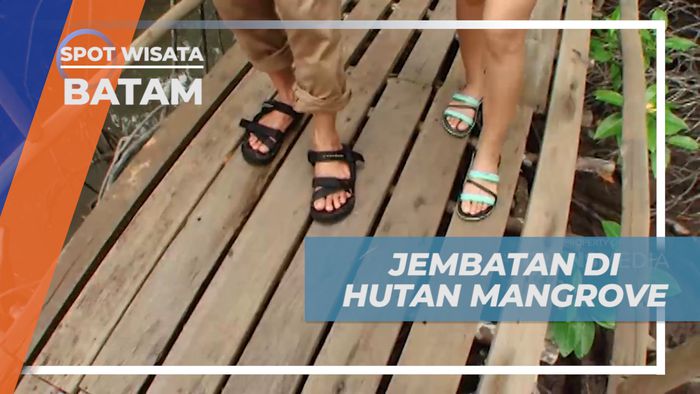 Seru-seruan Menjelajahi Dalamnya Hutan Mangrove, Batam