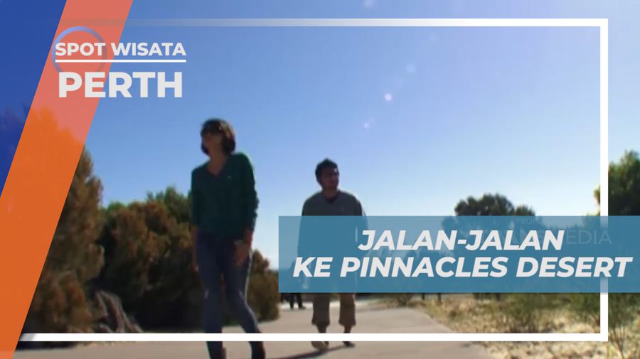 Vacation Seru, Jalan-jalan Menjelajahi Pinnacles Desert, Perth