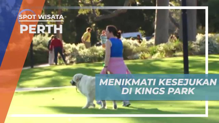 Menikmati Suasana Sejuk Taman Hijau Terbesar di Jantung Kota Perth