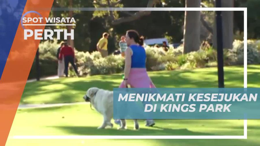 Menikmati Suasana Sejuk Taman Hijau Terbesar di Jantung Kota Perth