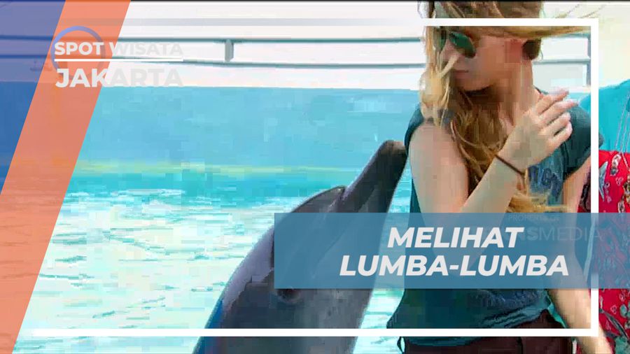 Serunya Melihat Atraksi Lumb-lumba yang Pintar dan Lucu, Jakarta
