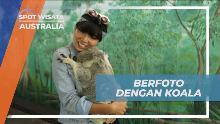 Cekrak-cekrek Berpose Seru Dengan Koala yang Super Lucu, Australia