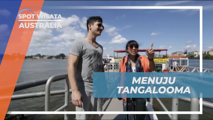 Membelah Lautan Naik Kapal Laut Menuju Tangalooma Island, Australia