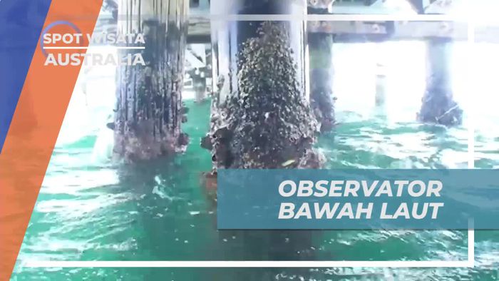 Melihat Keindahan Bawah Laut Dari Observator Busselton Jetty Australia 