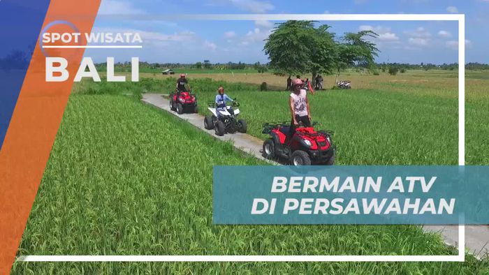Menyusuri Kawasan Persawahan Dengan ATV, Bali
