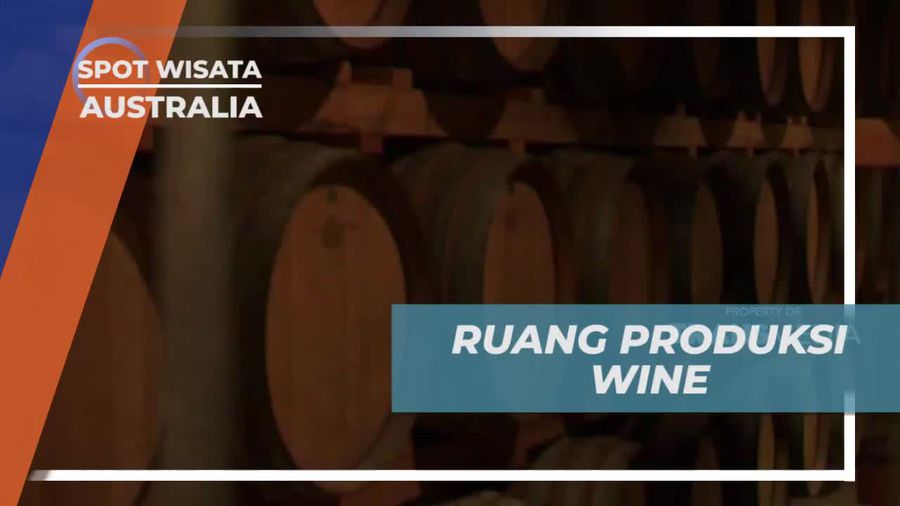 Leeuwin Estate Australia, Melihat Dari Dekat Produksi Wine