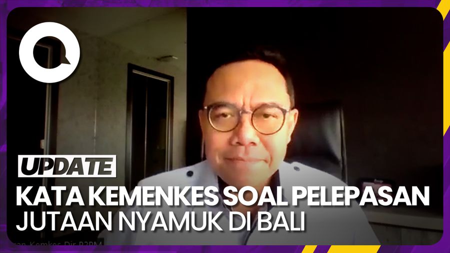 Muncul Petisi Tolak Pelepasan Jutaan Nyamuk di Bali, Ini Kata Kemenkes