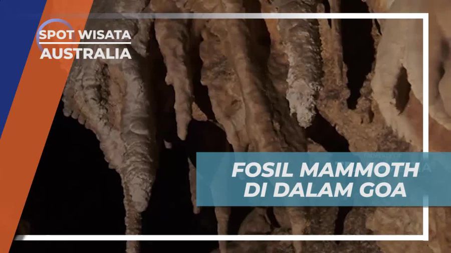 Mammoth Cave Australia, Melihat Fosil di Dalam Goa