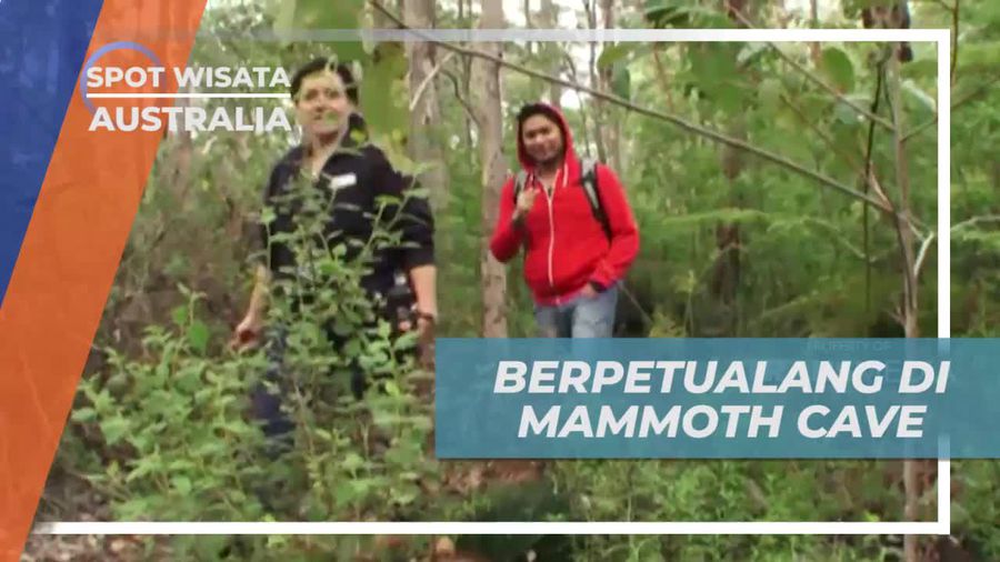 Petualangan Seru Melihat Bunga Liar di Mammoth Cave Australia 