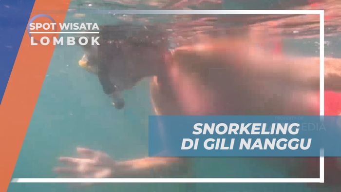 Mengintip Pesona Keindahan Beragam Biota Laut Gili Nanggu, Lombok