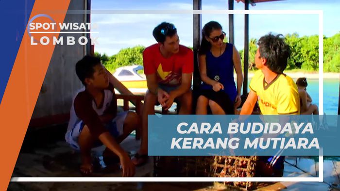 Melihat dari Dekat Proses Pembudidayaaan Kerang Mutiara, Lombok