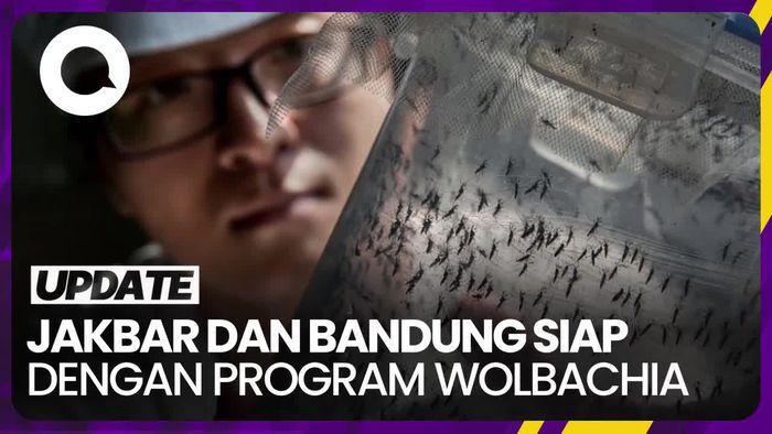 Beda dengan Bali, Warga Jakbar dan Bandung Siap dengan Program Wolbachia 