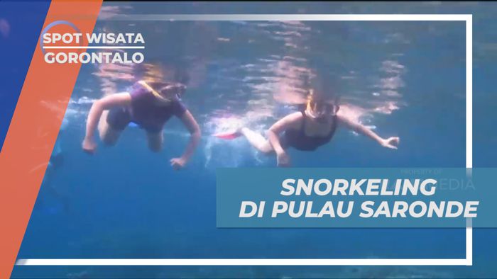 Melihat Kecantikan Aneka Biota Laut Dengan Snorkeling di Pulau Saronde Gorontalo 