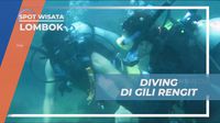 Pesona Biota Laut Di Bawah Laut Gili Rengit
