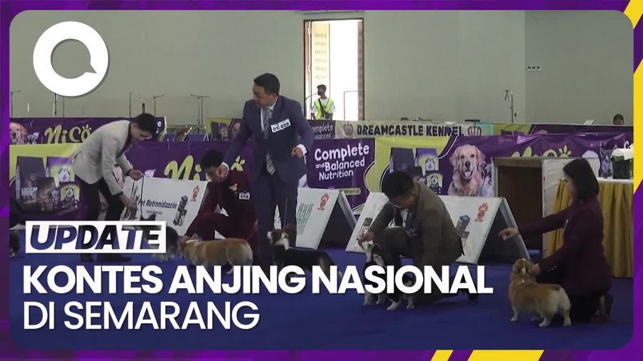 Melihat Serunya Kontes Anjing Nasional