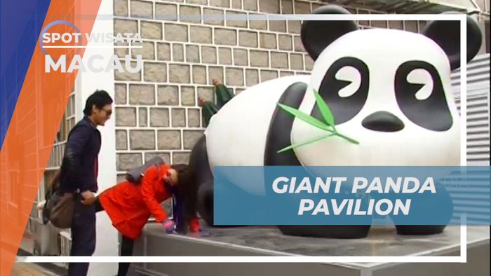 Giant Panda Pavilion, Mengunjungi Rumah Para Panda yang Lucu, Macau
