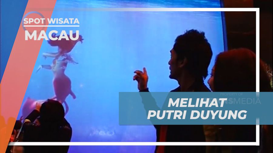 Melihat Aksi Putri Duyung di City of Dreams, Macau