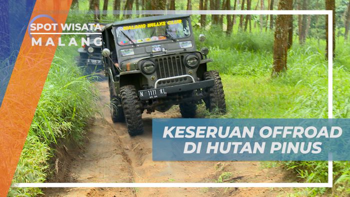 Seru-seruan Melintasi Hutan Pinus Degan Naik Mobil Offroad, Malang
