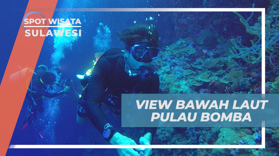 Indahnya Pesona Bawah Laut Pulau Bomba yang Menakjubkan, Sulawesi Tengah